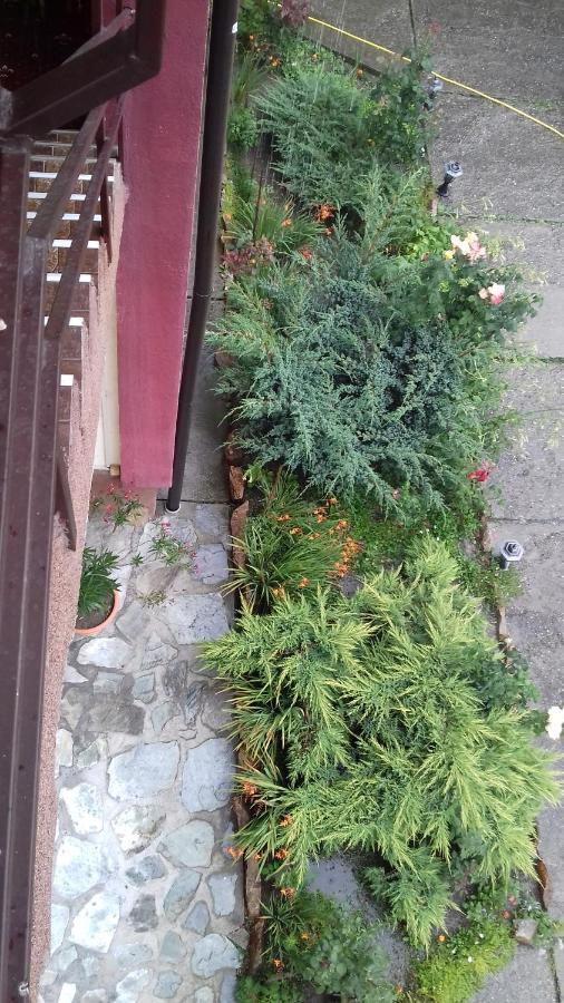 Passiflora Ξενοδοχείο Voineasa Εξωτερικό φωτογραφία